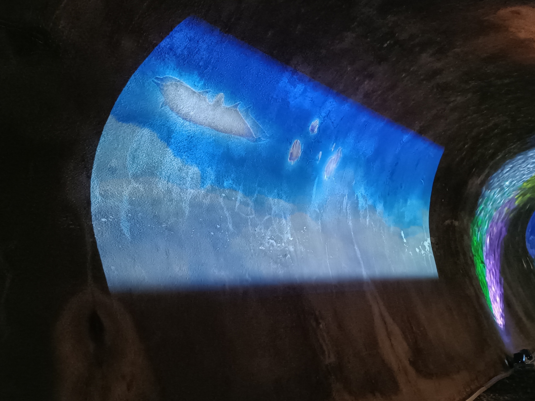 苗栗六號隧道光環境